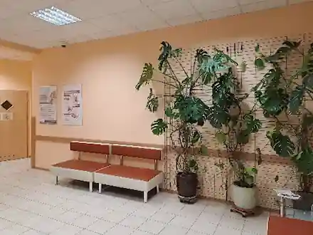 Widok na poczekalnię z naturalną zielenią